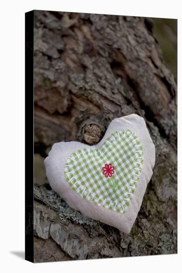 Heart with Square Application-Andrea Haase-Premier Image Canvas