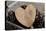 Heart, Wood, Cone, Decoration, Still Life-Andrea Haase-Premier Image Canvas