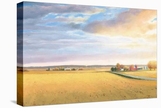 Heartland Landscape-James Wiens-Stretched Canvas