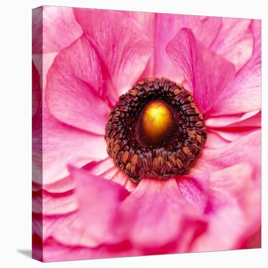 Hearts of Flowers II-Howard Ruby-Premier Image Canvas