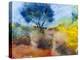 Heath Colours-Margaret Coxall-Premier Image Canvas