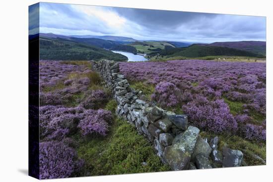 Heather Covered Bamford Moor-Eleanor Scriven-Premier Image Canvas