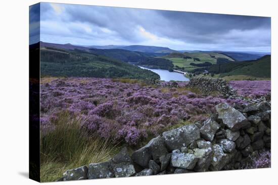 Heather Covered Bamford Moor-Eleanor Scriven-Premier Image Canvas