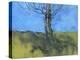 Heathland Tree Study-Paul Bailey-Stretched Canvas