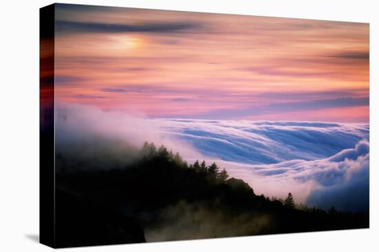 Heavenly Fog & Sunset Light Alchemy at Mount Tam, Marin California-Vincent James-Premier Image Canvas