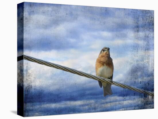 Heavenly Song of the Bluebird-Jai Johnson-Premier Image Canvas