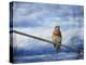 Heavenly Song of the Bluebird-Jai Johnson-Premier Image Canvas