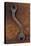 Heavy Double-headed Spanner with Bend in Handle Lying On Rusty Metal Sheet-Den Reader-Premier Image Canvas