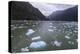 Heavy ice near face of South Sawyer Glacier, misty conditions, mountain backdrop, Tracy Arm Fjord, -Eleanor Scriven-Premier Image Canvas