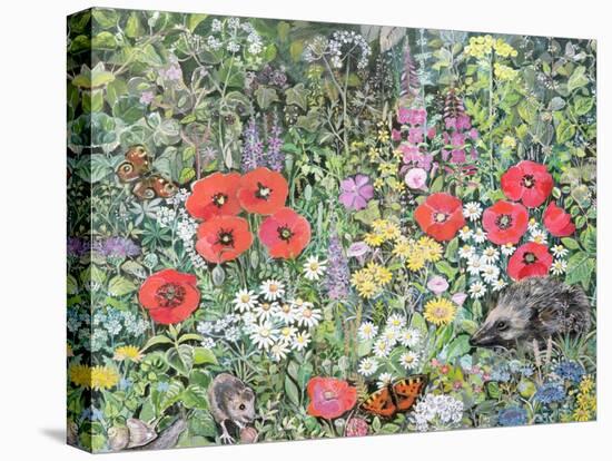 Hedgehog Amongst the Flowers-Hilary Jones-Premier Image Canvas