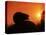 Hedgehog (Erinaceus Europaeus) Silhouette at Sunset, Poland, Europe-Artur Tabor-Premier Image Canvas