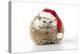 Hedgehog Wearing Christmas Hat-null-Premier Image Canvas