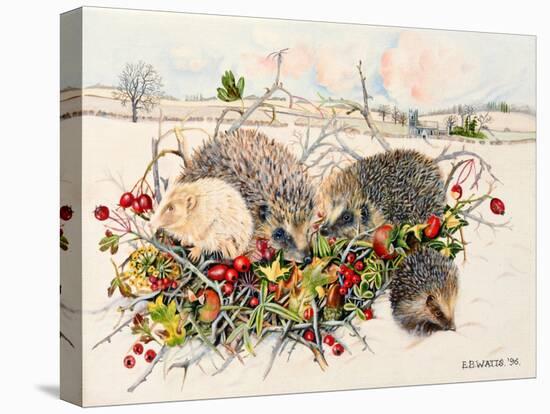 Hedgehogs in Hedgerow Basket, 1996-E.B. Watts-Premier Image Canvas