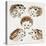 Hedgehogs-Cat Coquillette-Premier Image Canvas