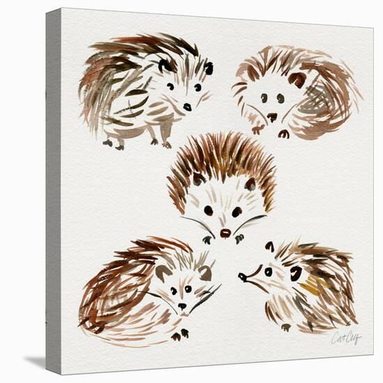 Hedgehogs-Cat Coquillette-Premier Image Canvas