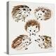 Hedgehogs-Cat Coquillette-Premier Image Canvas