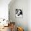 Hedy Lamarr-null-Stretched Canvas displayed on a wall