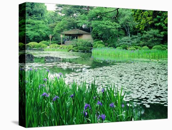 Heian Shrine Garden, Kyoto, Japan-null-Premier Image Canvas