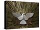 Heiliggeistkirche Church Holy Spirit Dove by Joseph Plecnik, Vienna, Austria, Europe-Godong-Premier Image Canvas