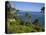 Heisler Park in Laguna Beach, Orange County, California, United States of America, North America-Richard Cummins-Premier Image Canvas