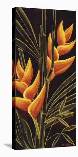 Heliconia-Yvette St.Amant-Stretched Canvas