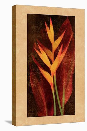 Heliconia-John Seba-Stretched Canvas