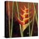 Heliconias En Naranja II-Patricia Pinto-Stretched Canvas
