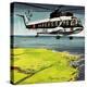 Helicopter-Wilf Hardy-Premier Image Canvas