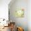 Hello Sunshine-Irina Trzaskos Studios-Premier Image Canvas displayed on a wall