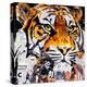 Hello Tiger-James Grey-Stretched Canvas