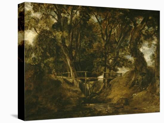 Helmingham Dell. Vallon dans le parc de Helmingham (Suffolk)-John Constable-Premier Image Canvas