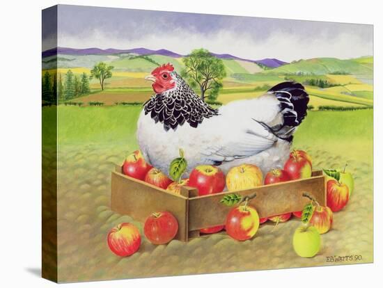 Hen in a Box of Apples, 1990-E.B. Watts-Premier Image Canvas