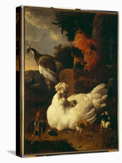 Hen with Chicks-Melchior de Hondecoeter-Premier Image Canvas