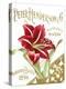 Henderson Amaryllis-Vintage Apple Collection-Premier Image Canvas