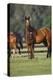 Hennessy Arabians 012-Bob Langrish-Premier Image Canvas