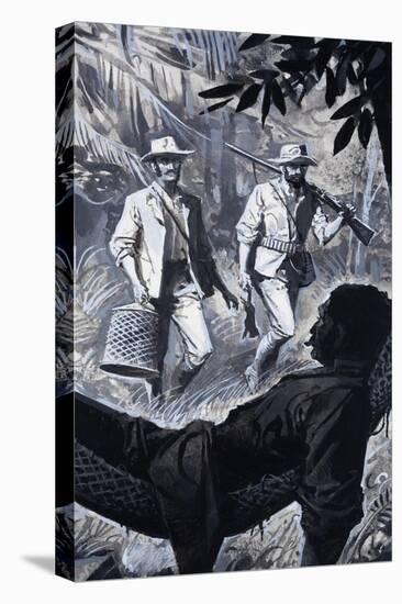 Henry Walter Bates and Alfred Russel Wallace-Severino Baraldi-Premier Image Canvas