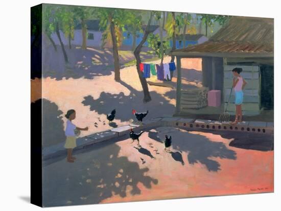 Hens and Chickens, Cuba, 1997-Andrew Macara-Premier Image Canvas