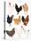 Hens In Glasses-Hanna Melin-Stretched Canvas