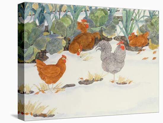 Hens in the Vegetable Patch-Linda Benton-Premier Image Canvas