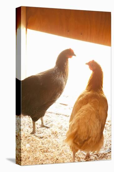 Hens-Karyn Millet-Premier Image Canvas