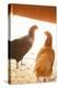 Hens-Karyn Millet-Premier Image Canvas