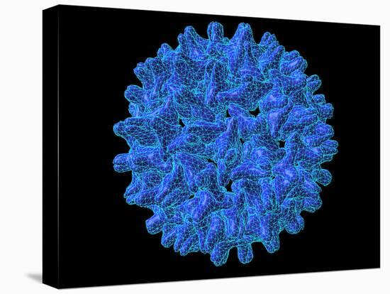 Hepatitis B Virus Particle-Laguna Design-Premier Image Canvas