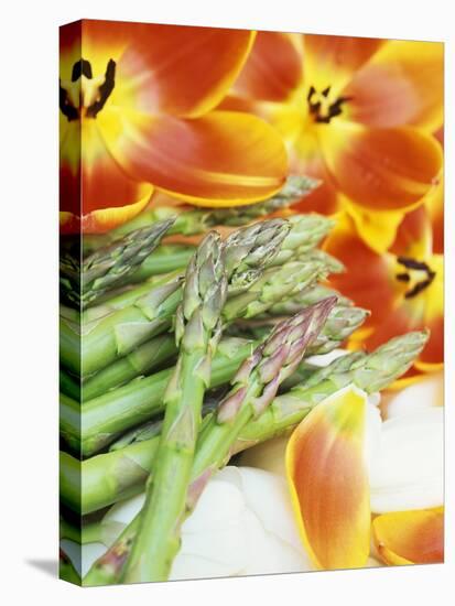 Heralds of Spring: Green Asparagus and Tulips-Linda Burgess-Premier Image Canvas