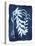 Herbarium - Epsilon-Tania Bello-Stretched Canvas