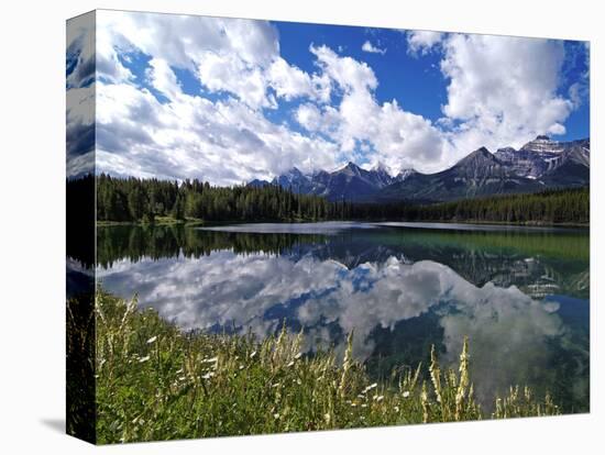 Herbert Lake and Bow Range, Banff National Park, UNESCO World Heritage Site, Alberta, Rocky Mountai-Hans Peter Merten-Premier Image Canvas