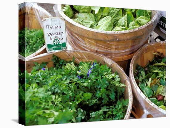 Herbs and Greens, Ferry Building Farmer's Market, San Francisco, California, USA-Inger Hogstrom-Premier Image Canvas