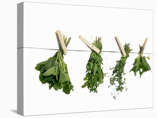 Herbs Drying on a Washing Line-Kröger & Gross-Premier Image Canvas