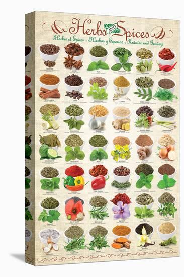 Herbs & Spices-null-Stretched Canvas