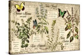 Herbs-Kate Ward Thacker-Premier Image Canvas