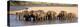 Herd of African Elephants at a River-null-Stretched Canvas